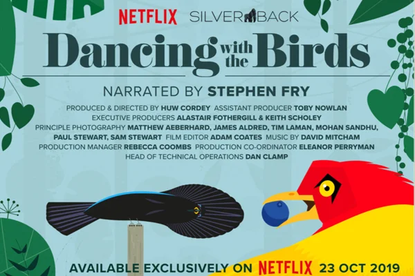 Netflix - Dancing with Birds