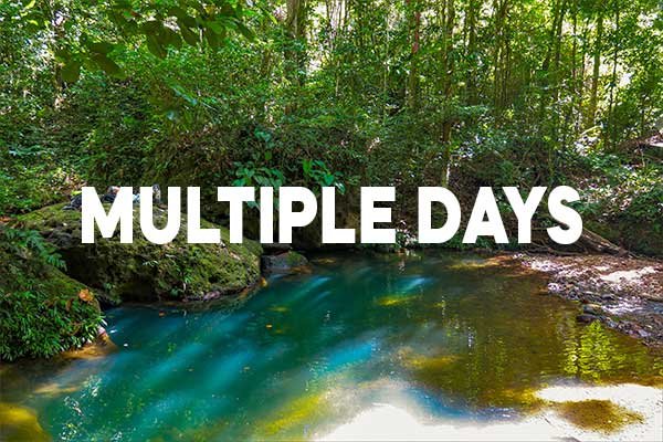 MULTIPLE-DAYS