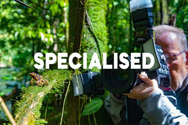 SPECIALISED