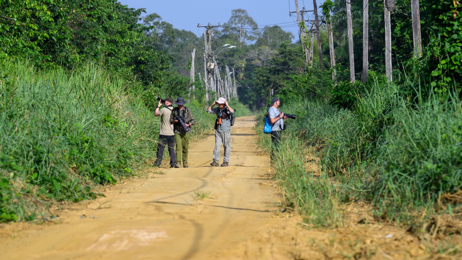 Travellers taking photos